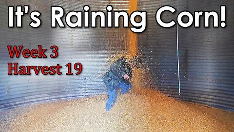 Finishing Harvest 19 | Week 3 - Vlog 21