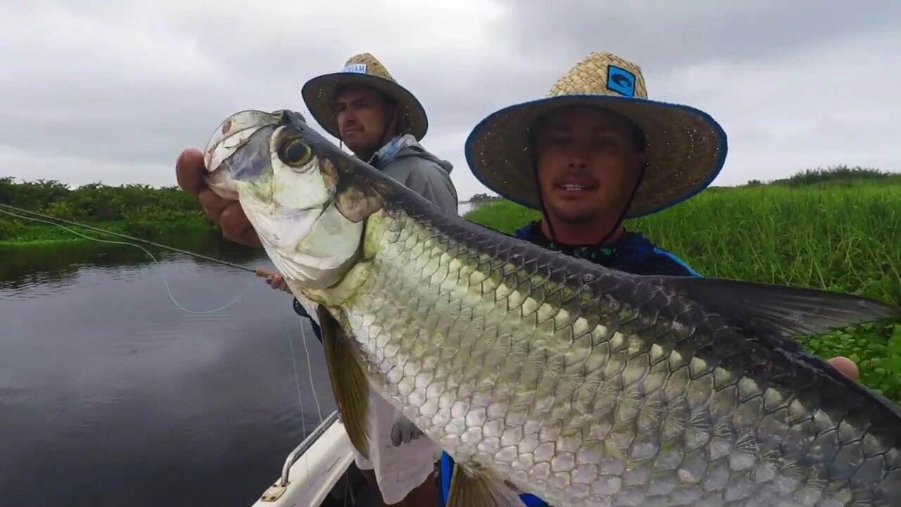 FLY FISHING for River TARPON with Wesley RAPSON and JUSTIN KEMP