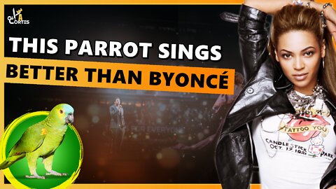 THIS PARROT SINGS A LOT!