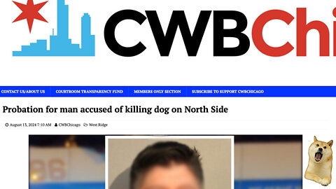 Chicago Man Only Gets Probation for K*lling His Dog