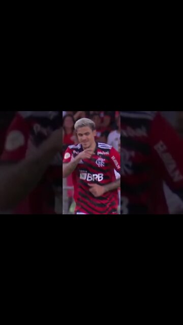 TERCEIRO GOL DO FLAMENGO CONTRA O BRAGANTINO/PEDRO