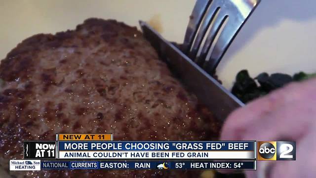What's the beef with grass-fed beef?