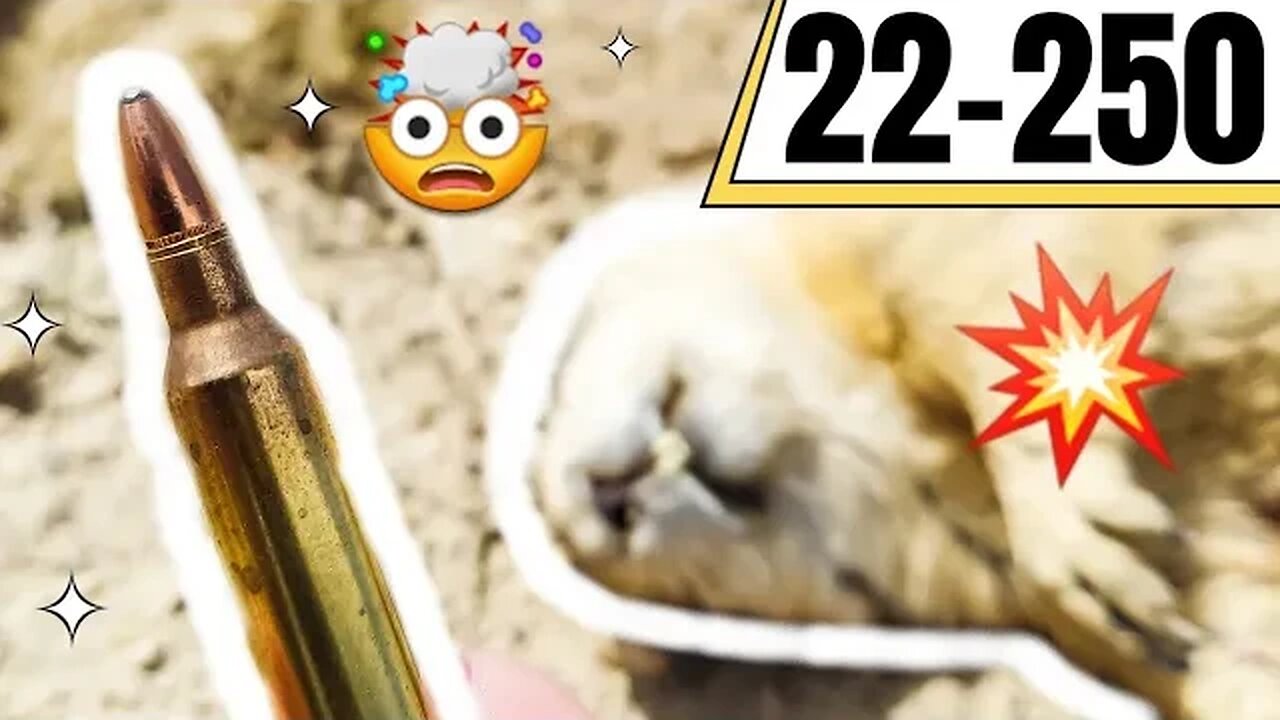 22-250 Explodes Prairie Dogs!!! 💣🧨💥🤯