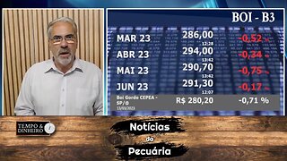 Notícias do Mercado da Pecuária com Sérgio Braga