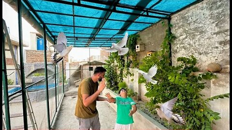 Master Cage Hogea Tiar Ab Es ko Birds se Bhr Dena hai😍