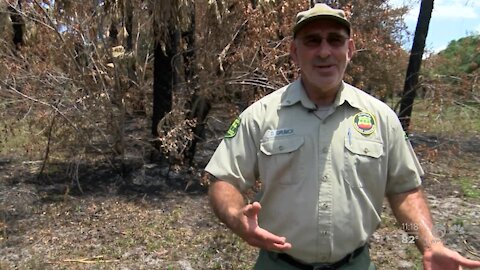 Florida's fire season costs from the firefighters who respond to them