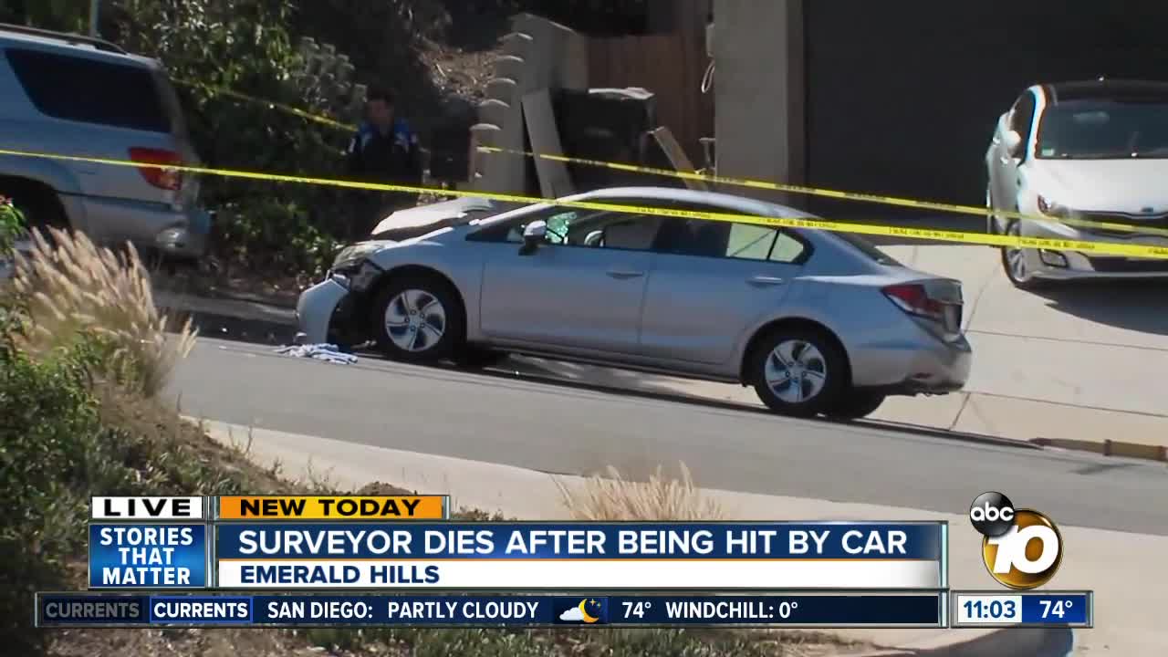 Surveyor dies after being hit by car