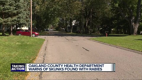 Rabies confirmed in skunks from Southfield, Farmington Hills