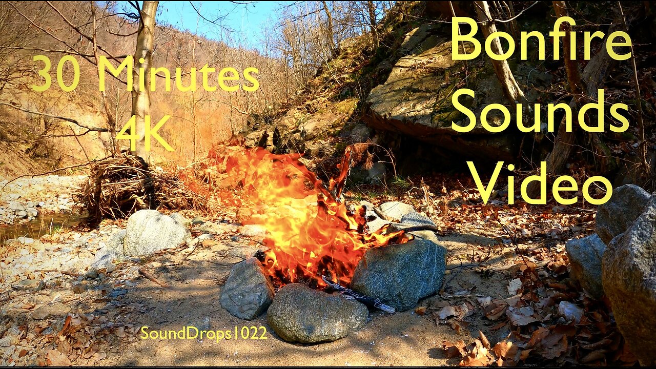 30-Minute Bonfire Escapade | Wilderness Ambiance and Crackling Fire