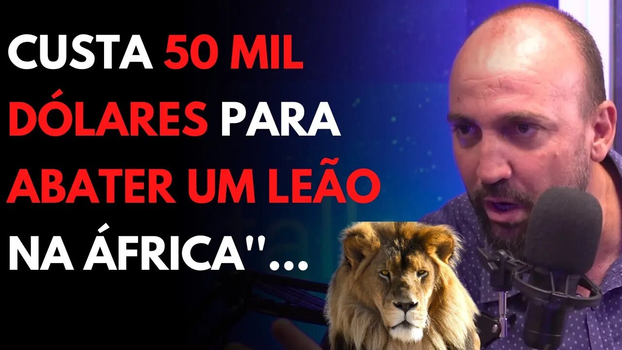 COMO FUNCIONA O TURISMO DE ABATE NA ÁFRICA ?