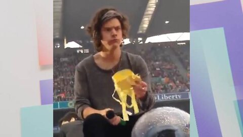 One Direction- Harry Styles Catching a bra