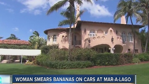 Woman smears bananas on cars at Trump's Mar-A-Lago