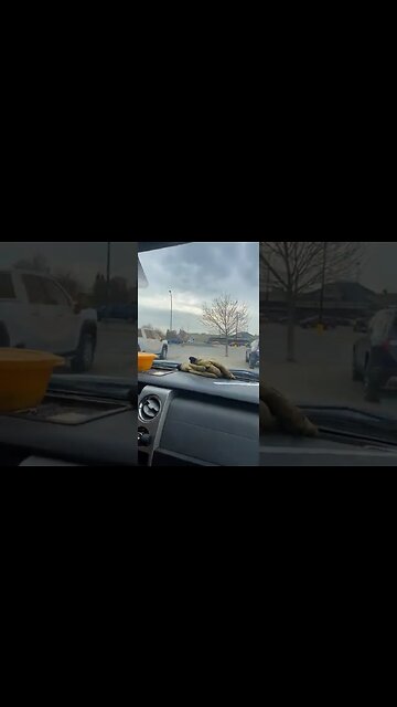 best vehicle on the lot #shorts