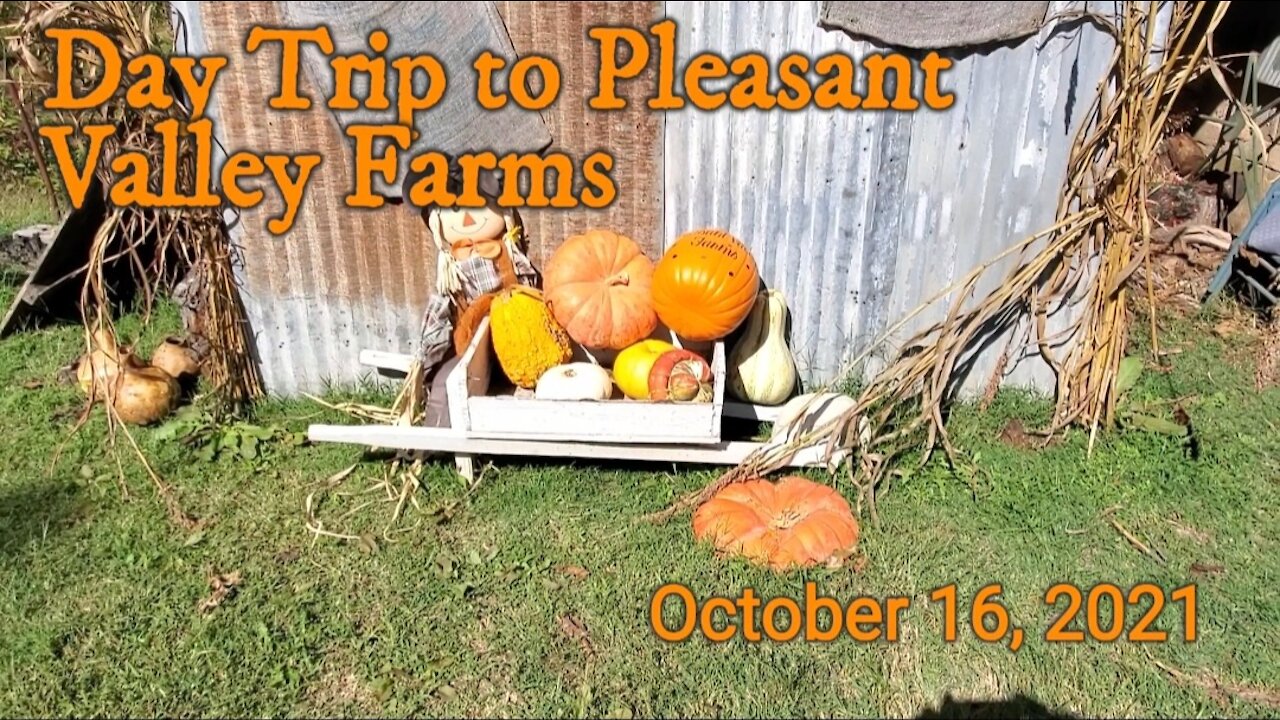 Day Trip to Pleasant Valley Farms