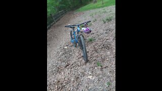 Short trail clip at Bedeford reservation