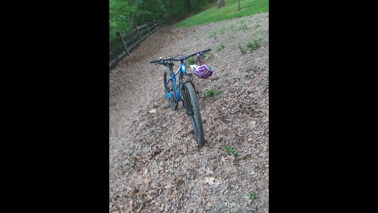 Short trail clip at Bedeford reservation