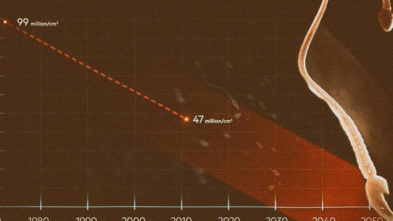 FAST LANE TO XST!NCKT!0N