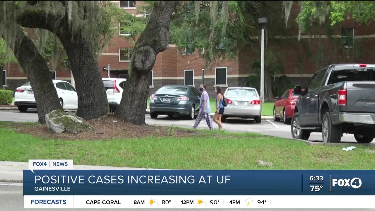 University of Florida sees increase in cases