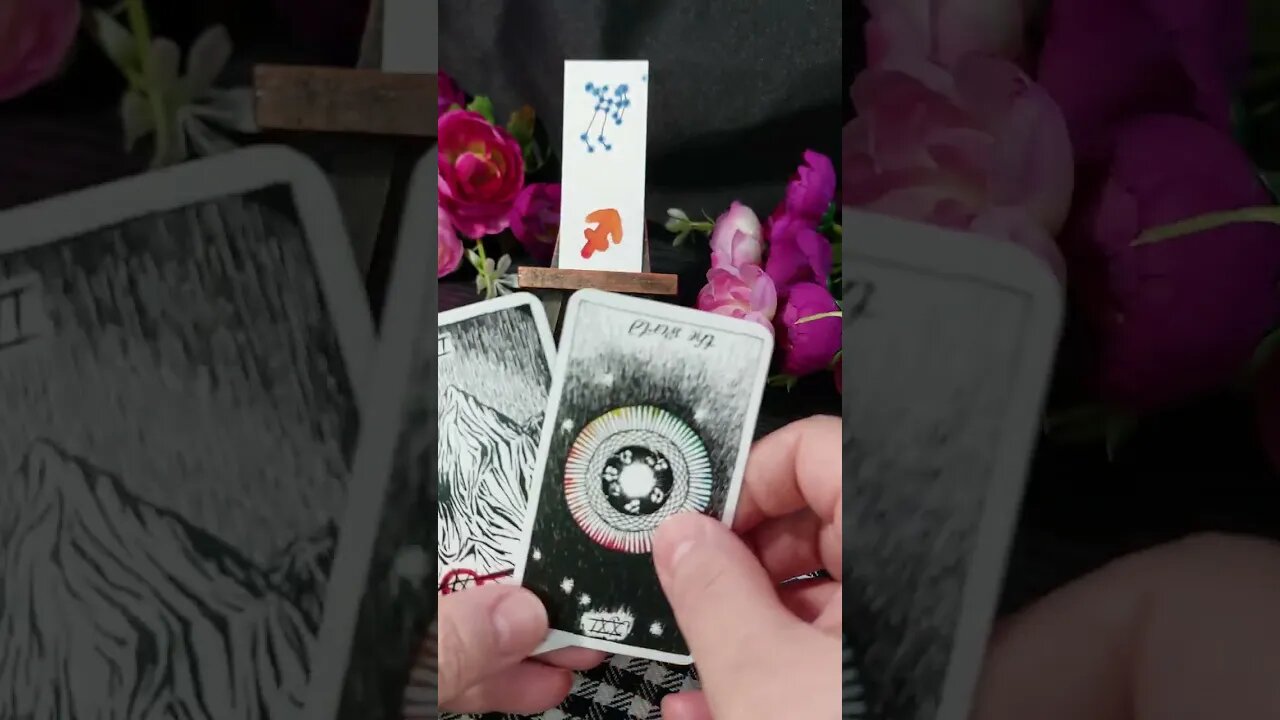 Sagittarius tarot reading quick Insight #sagittariustarotreading #shorttarot