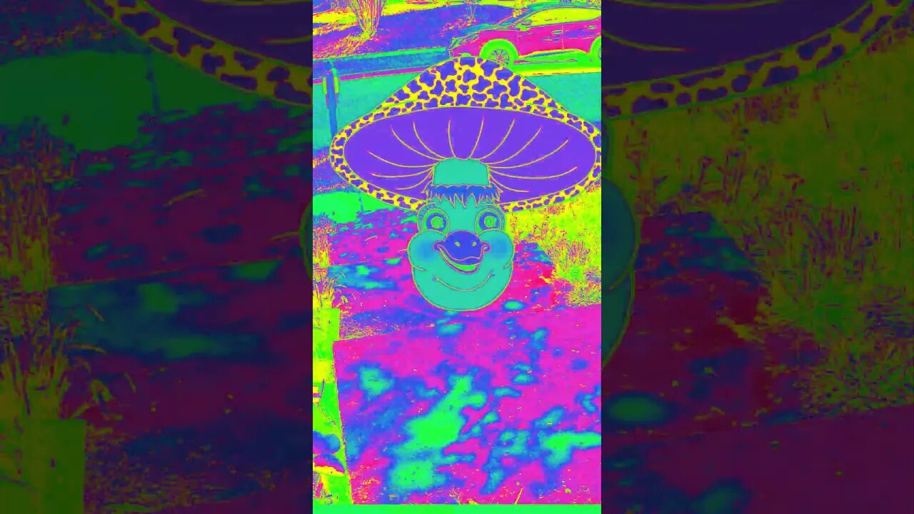 A Goose Mushroom Visits #Shorts 🍄