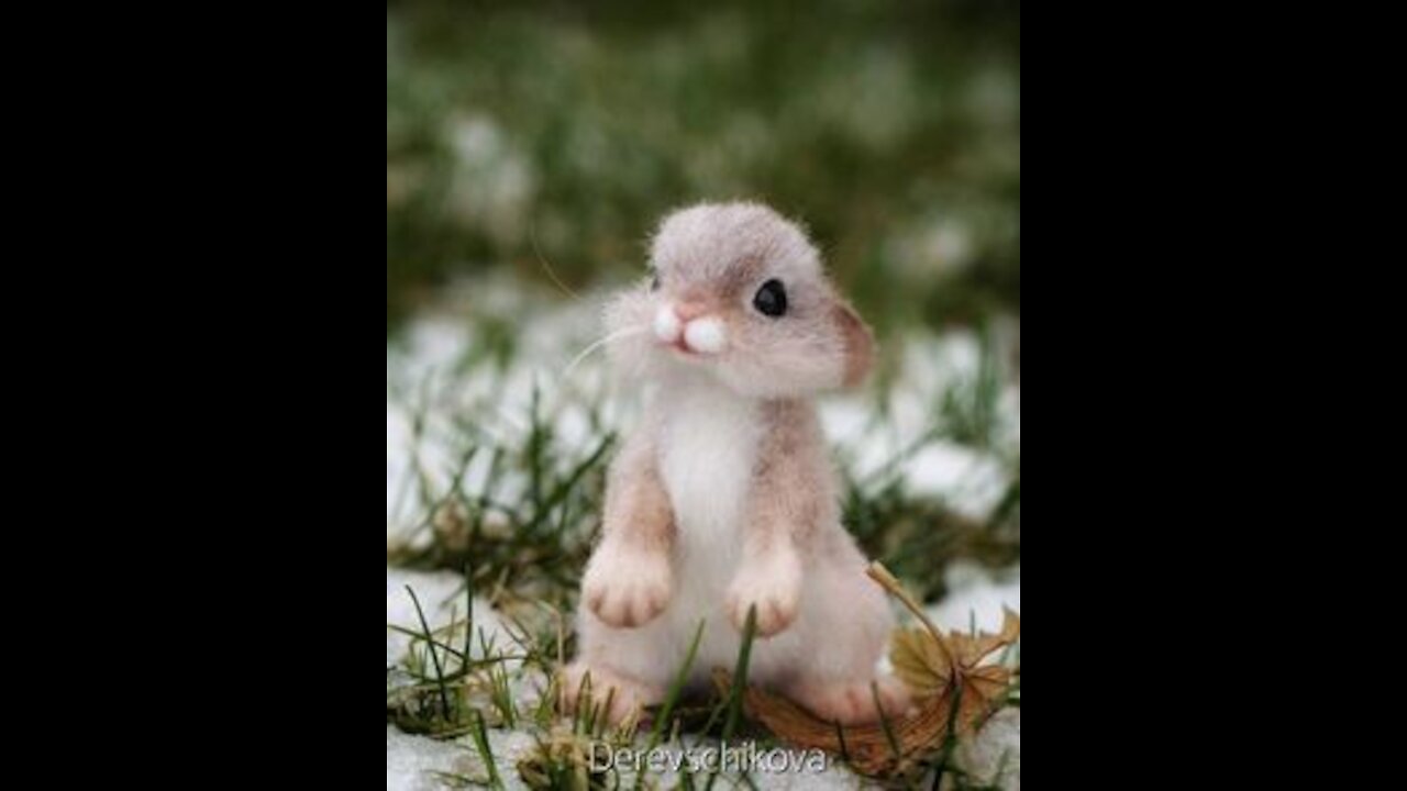 Cute Baby Animals! :) - Compilation