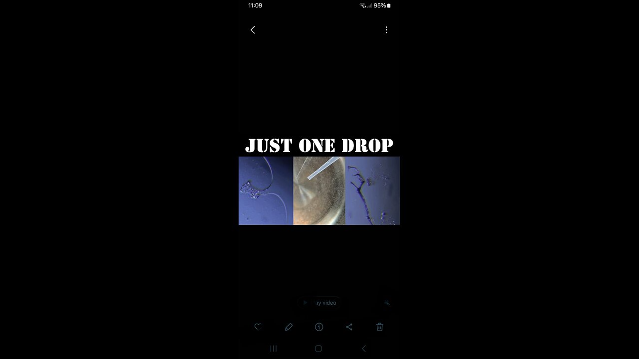 FM8 August 2024 Just ONE drop (pre distilled water)