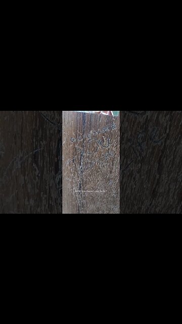 Who are these love birds? #vanlife #shorts