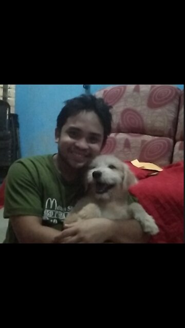 Cute Puppy Pretty Smile With Kisses