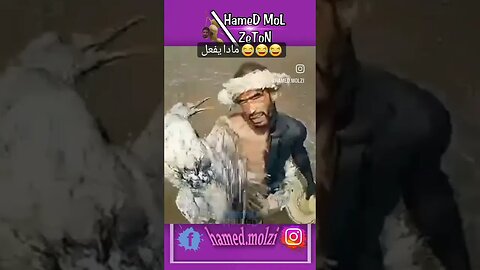 #memesmaroc #marocmemes #moroccanmemes #humor #humormaroc #instamemes #lolmaroc #instahumor