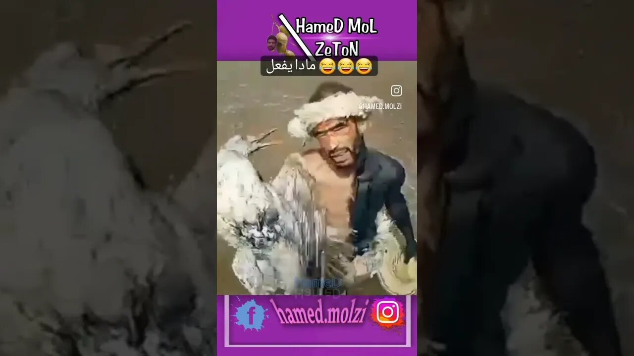 #memesmaroc #marocmemes #moroccanmemes #humor #humormaroc #instamemes #lolmaroc #instahumor