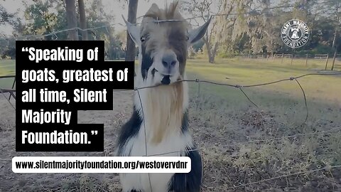 Alison Morrow Shares The Impact of Silent Majority Foundation