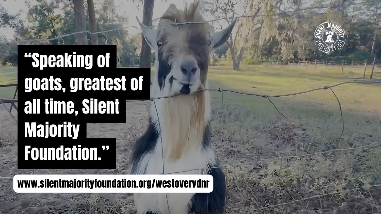 Alison Morrow Shares The Impact of Silent Majority Foundation