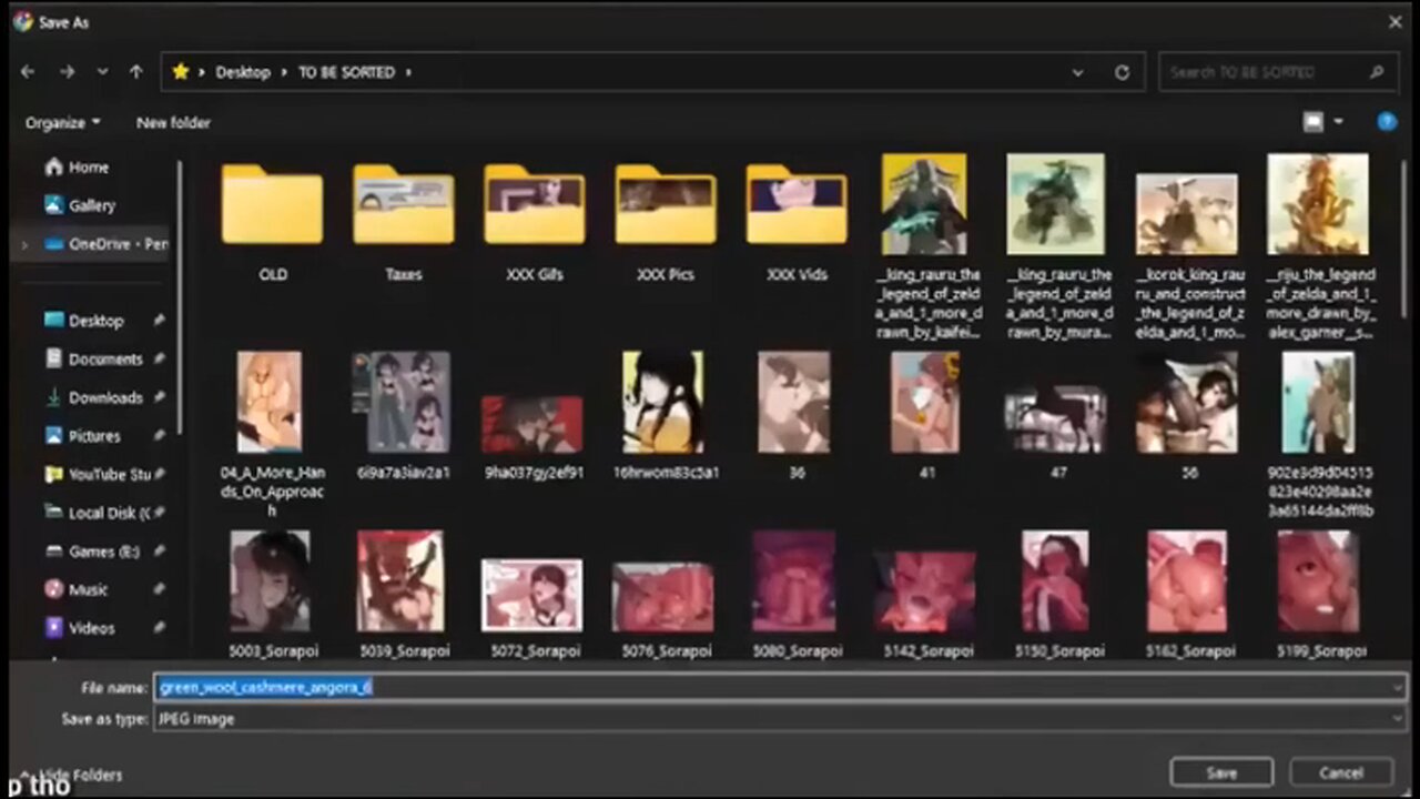 Jewish political streamer, Vaush accidentally leaks portion of his porn folder while livestreaming