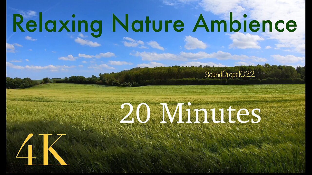 Extended Grass Field Bliss: 20-Minute Calming Atmosphere