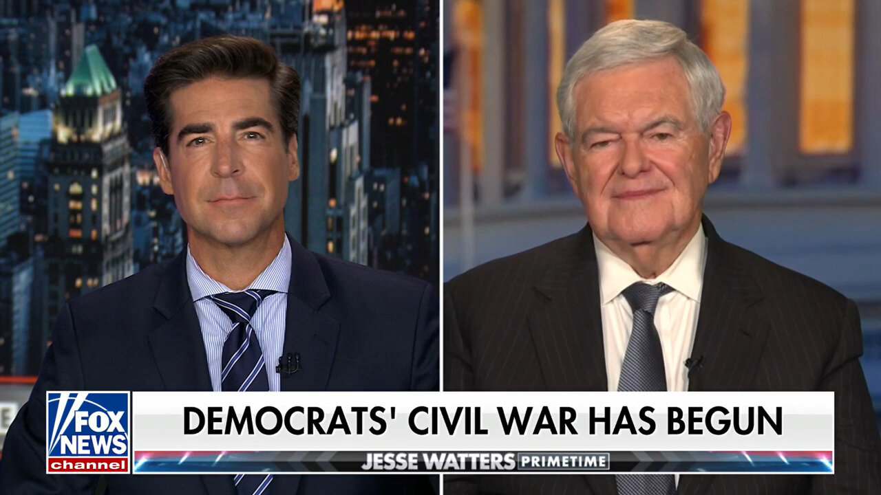 Newt Gingrich: The Democrat Party Has An 'Enormous Psychological Problem'