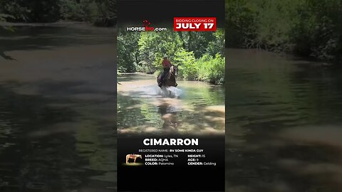 ＣＩＭＡＲＲＯＮ