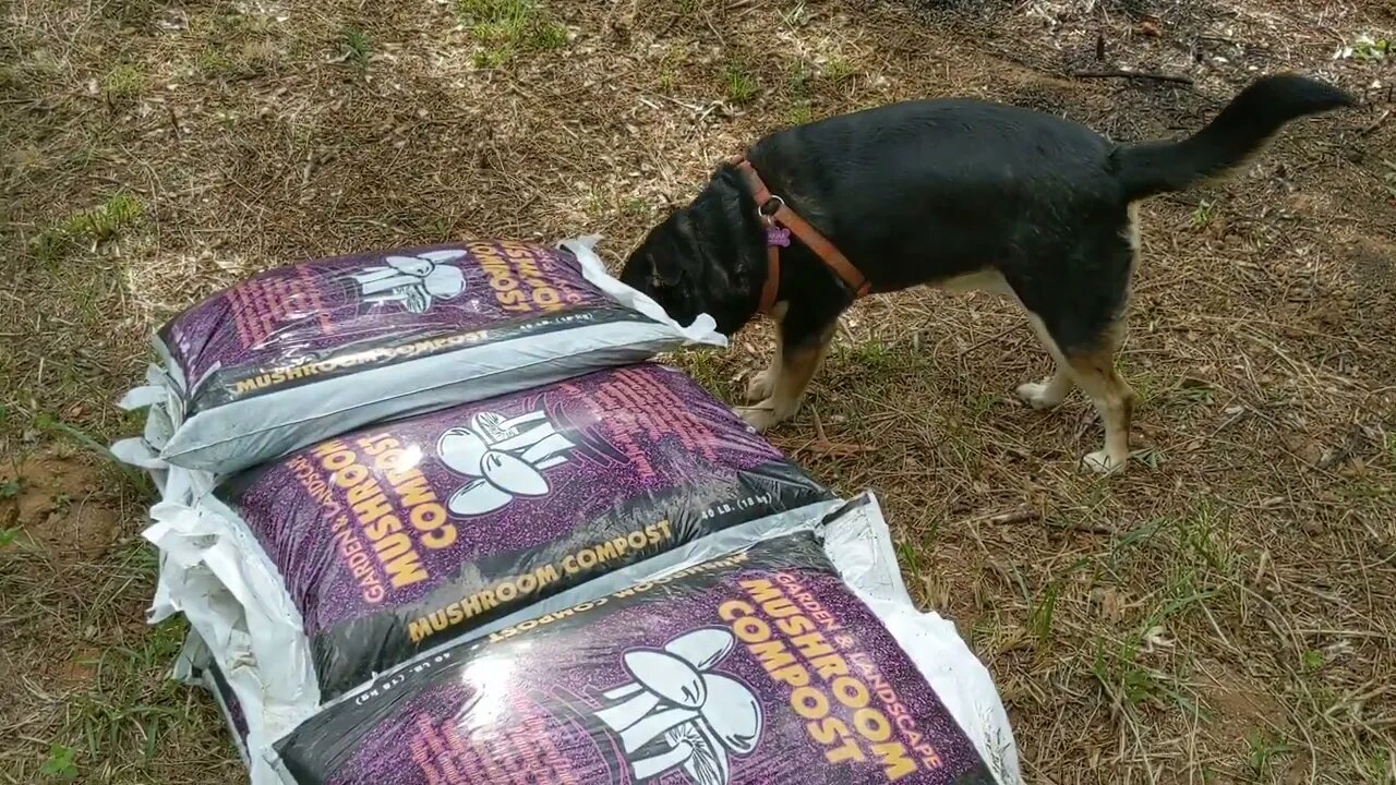 First Garden, Got Compost Late