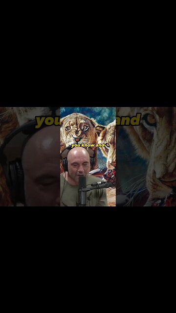 The Disturbing Truth: Animals' Perception of Humans as Prey |Joe Rogan & Forrest Galante #1403