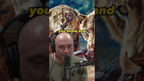 The Disturbing Truth: Animals' Perception of Humans as Prey |Joe Rogan & Forrest Galante #1403