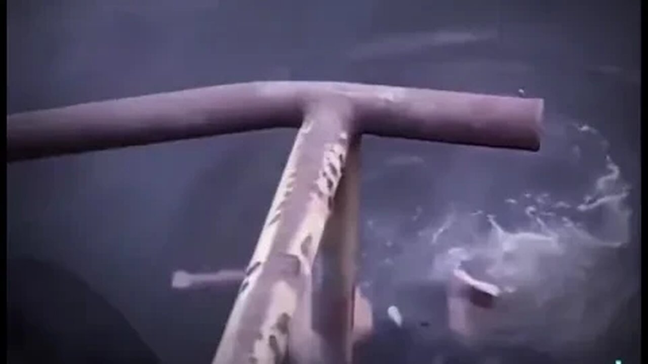 It's hot... Let's go for a swim.