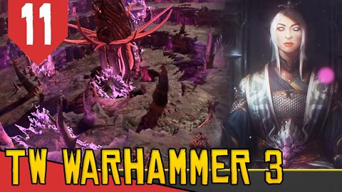 Território de Slaanesh: DEUS DO PRAZER e DOR - Total War Warhammer 3 Cathay #11 [Português PT-BR]