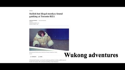 Wood league A-Z champ tryouts: W - Wukong hits people with a stick.