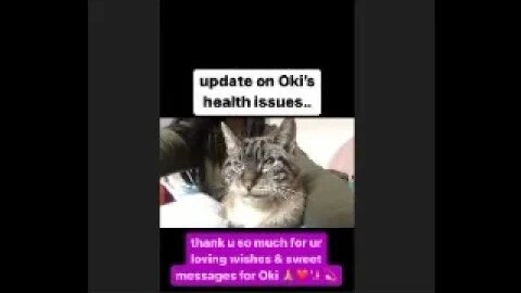 15 December 2022, update on Oki's health issues & so thankful for your caring, sweet messages! 🙏✨