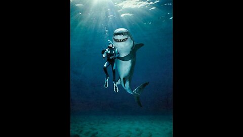 diving with whale shark