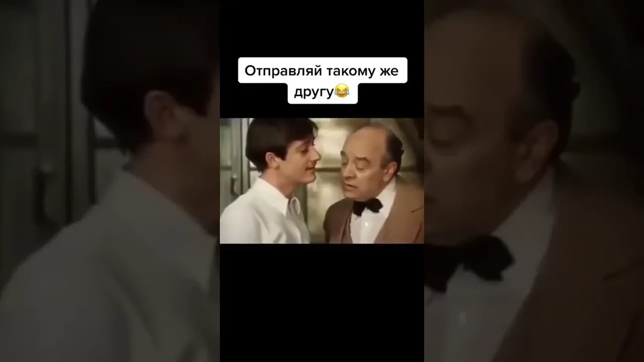 #приколы #мирослав #лебіга #капуста #гумор #блогер #українською #смішно #сміх #кіт #кітнепригай #1k