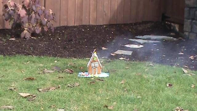 "A Man Blows Up A Gingerbread House In A Yard"