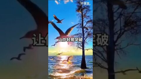 一句话开悟20220316