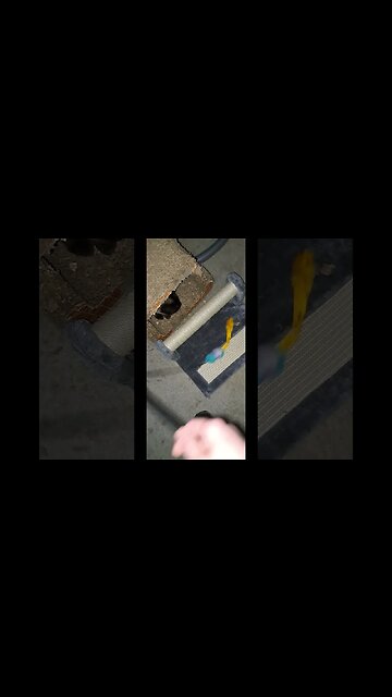 cats new scratching post PT2 #cat #viral #shortvideo #kitten #kittycat