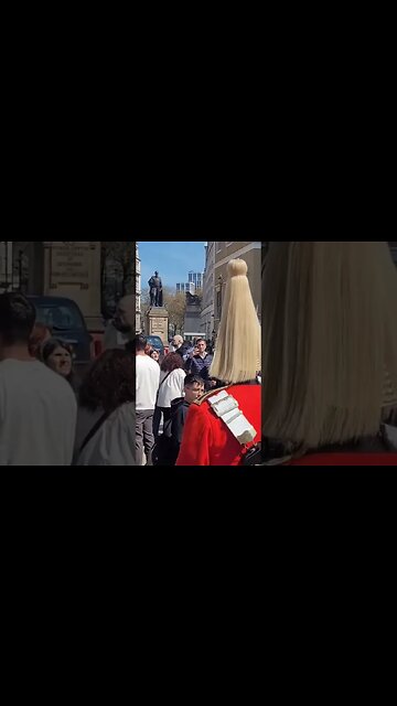 Quick grab the kid #horseguardsparade