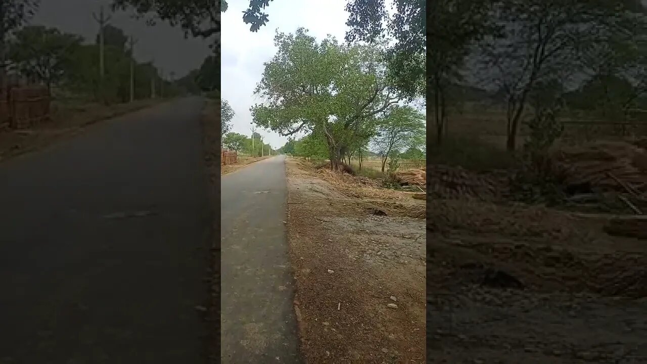 Gori Tera Gaon Bada Pyara WhatsApp status